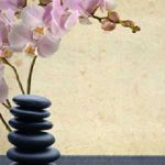 Muscle Elements Health and Wellness